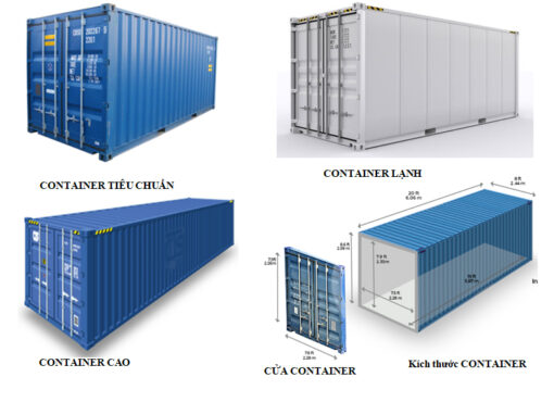 Xe nâng chui container (chui công) là gì? Xe nâng chui công quan trọng ...